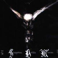 Sleepytime Gorilla Museum : Live